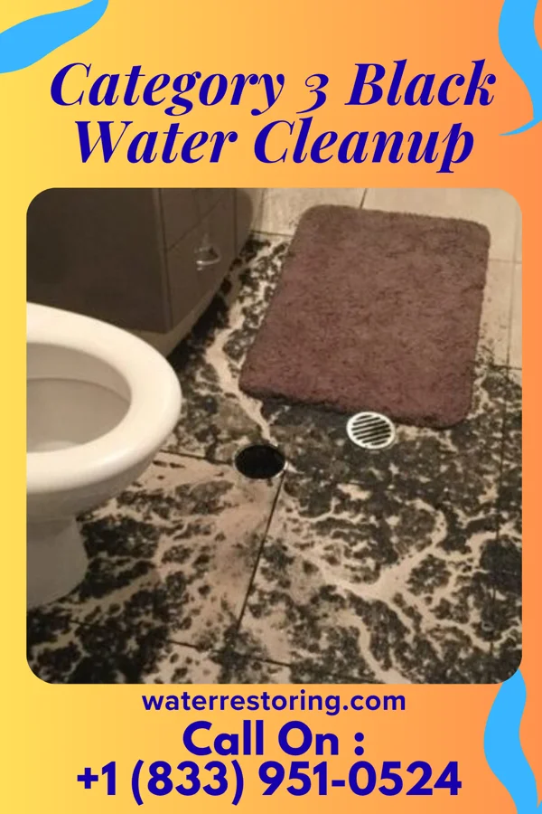 Category 3 Black Water Cleanup in Saginaw, MI