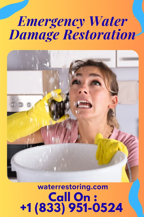 Emergency Water Damage Restoration in Saginaw, MI