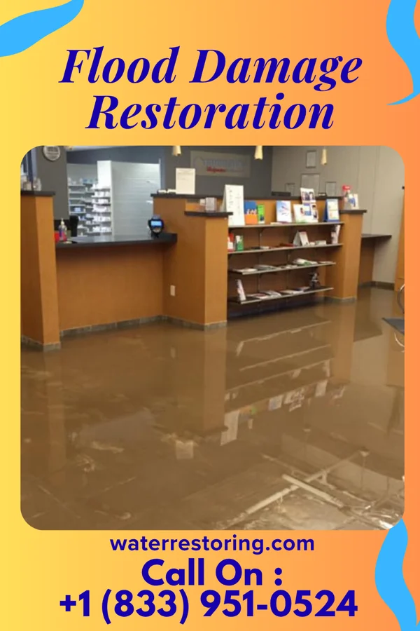 Flood Damage Restoration in Saginaw, MI