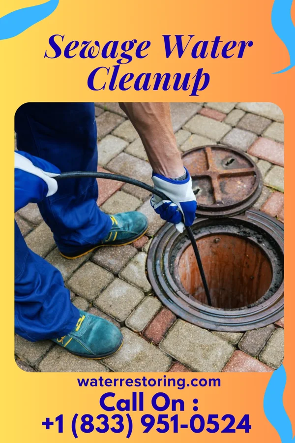 Sewage Water Cleanup in Saginaw, MI