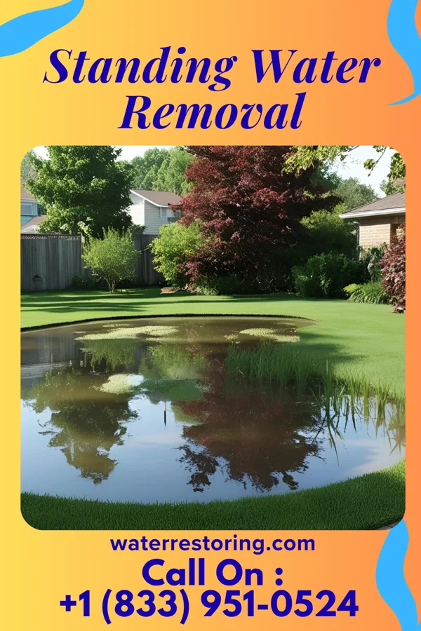 Standing Water Removal in Saginaw, MI